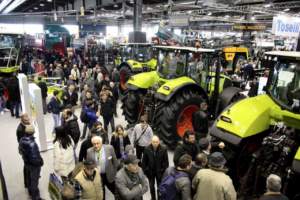 mostre mercato