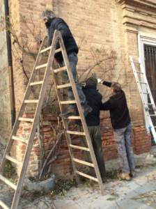 mostre mercato