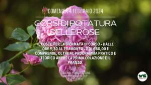 mostre mercato