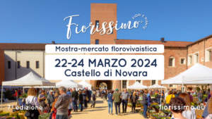 mostre mercato
