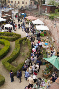 MOSTRE MERCATO