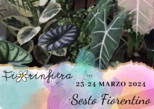 mostre mercato