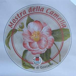 mostre mercato