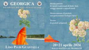 mostre mercato