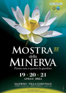 mostre mercato