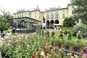 mostra mercato