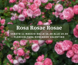 MOSTRA mercato