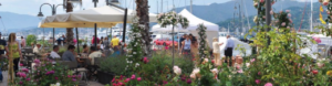 yacht garden