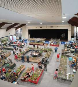 mostre mercato