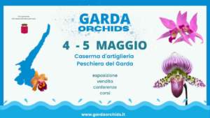 mostre mercato