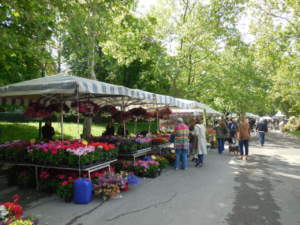 giardini e terrazzi