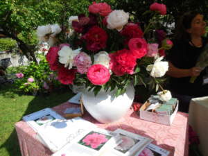peoniainbloom
